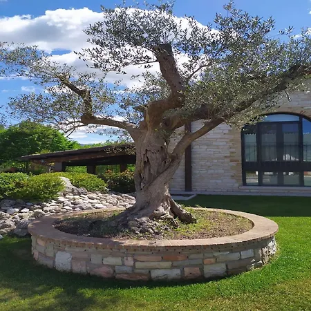 Casa vacanze Large In Cagli With Pool *